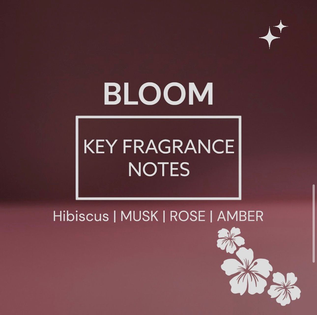 BLOOM مخمرية